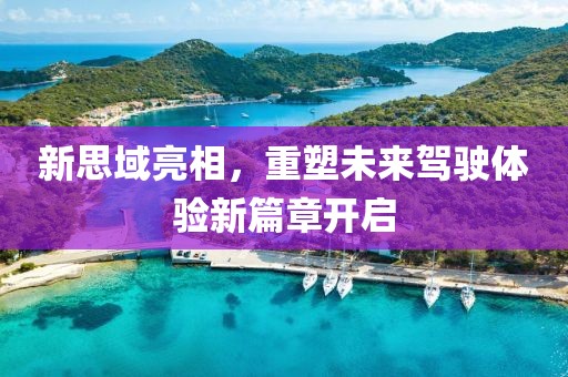 新思域亮相，重塑未来驾驶体验新篇章开启