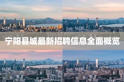 宁阳县城最新招聘信息全面概览