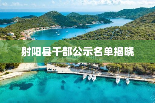 射阳县干部公示名单揭晓