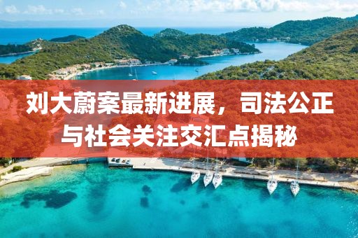 刘大蔚案最新进展，司法公正与社会关注交汇点揭秘
