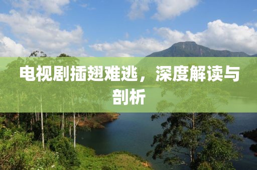 电视剧插翅难逃，深度解读与剖析