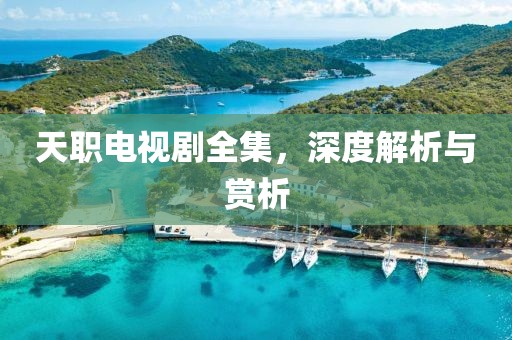 天职电视剧全集，深度解析与赏析