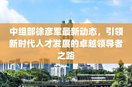 中组部徐彦军最新动态，引领新时代人才发展的卓越领导者之路