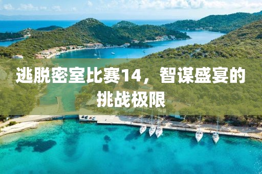逃脱密室比赛14，智谋盛宴的挑战极限