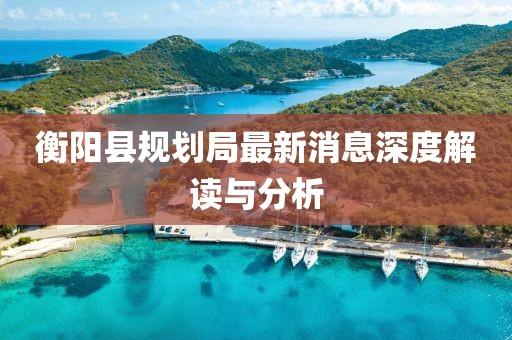 衡阳县规划局最新消息深度解读与分析