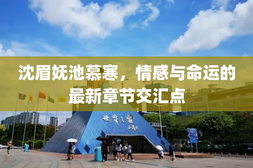 沈眉妩池慕寒，情感与命运的最新章节交汇点