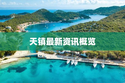 天镇最新资讯概览