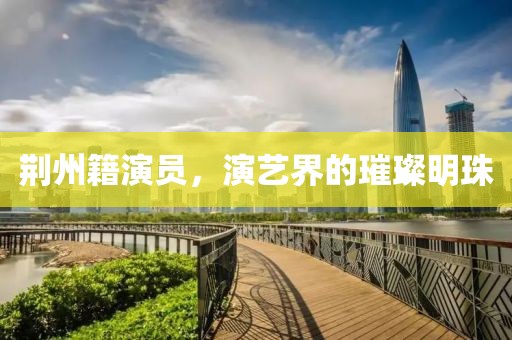 荆州籍演员，演艺界的璀璨明珠