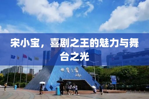 宋小宝，喜剧之王的魅力与舞台之光