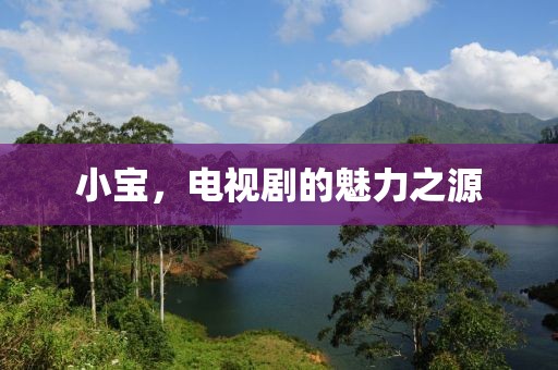 小宝，电视剧的魅力之源