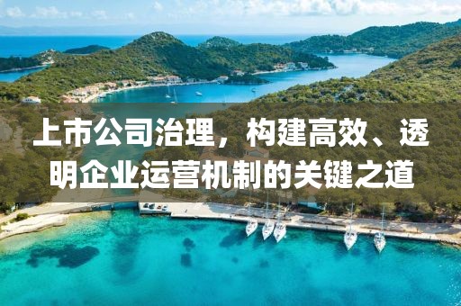 上市公司治理，构建高效、透明企业运营机制的关键之道