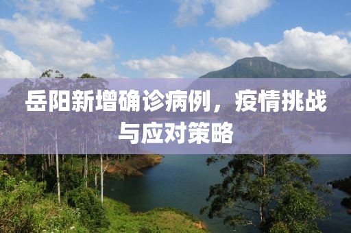 岳阳新增确诊病例，疫情挑战与应对策略