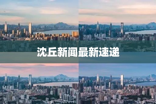 沈丘新闻最新速递