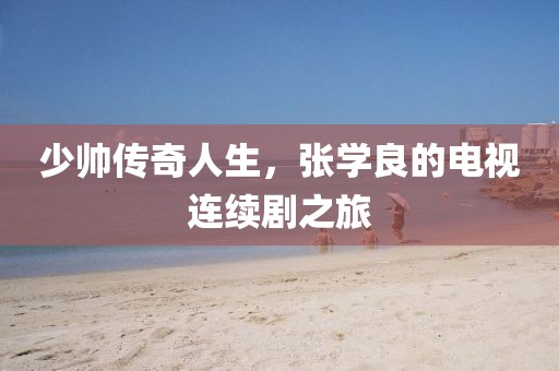 少帅传奇人生，张学良的电视连续剧之旅
