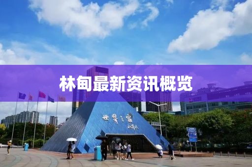 林甸最新资讯概览