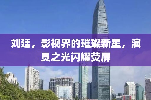刘廷，影视界的璀璨新星，演员之光闪耀荧屏