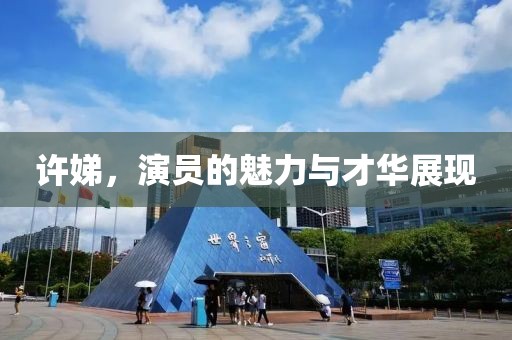 许娣，演员的魅力与才华展现