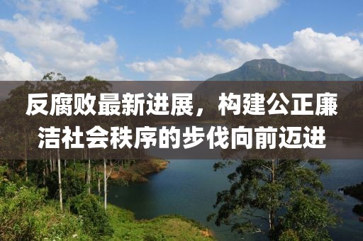 反腐败最新进展，构建公正廉洁社会秩序的步伐向前迈进