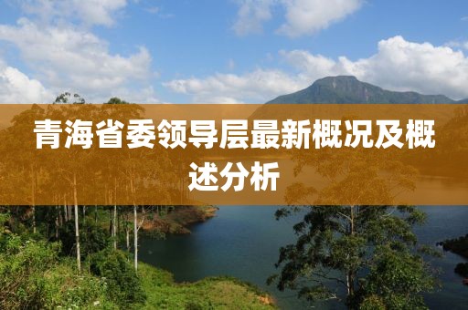 青海省委领导层最新概况及概述分析