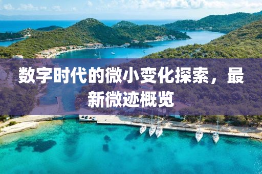 数字时代的微小变化探索，最新微迹概览