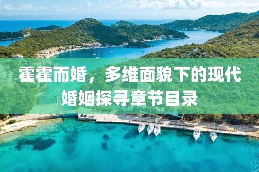 霍霍而婚，多维面貌下的现代婚姻探寻章节目录