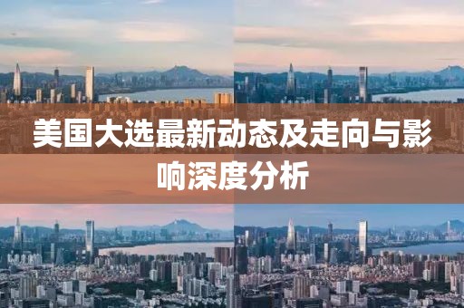 美国大选最新动态及走向与影响深度分析