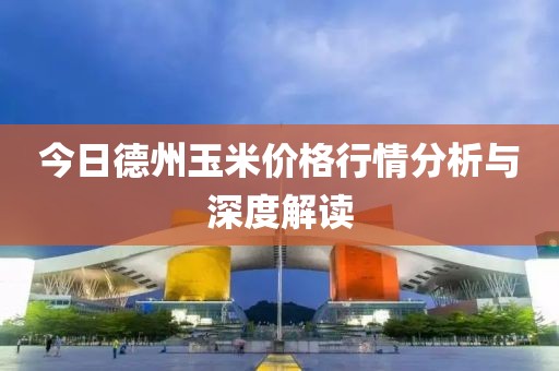 今日德州玉米价格行情分析与深度解读