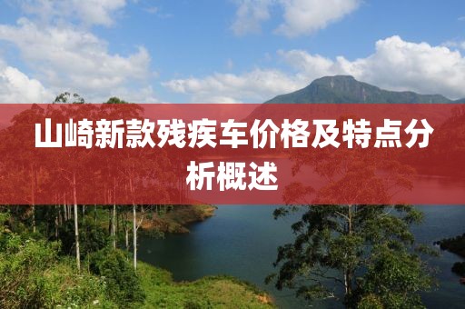 山崎新款残疾车价格及特点分析概述