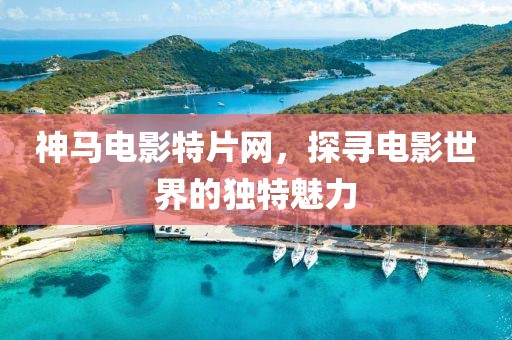 神马电影特片网，探寻电影世界的独特魅力