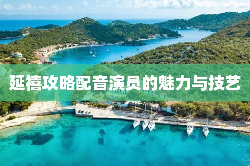 延禧攻略配音演员的魅力与技艺