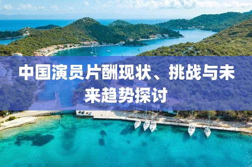 中国演员片酬现状、挑战与未来趋势探讨