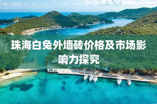 珠海白兔外墙砖价格及市场影响力探究