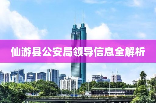 仙游县公安局领导信息全解析