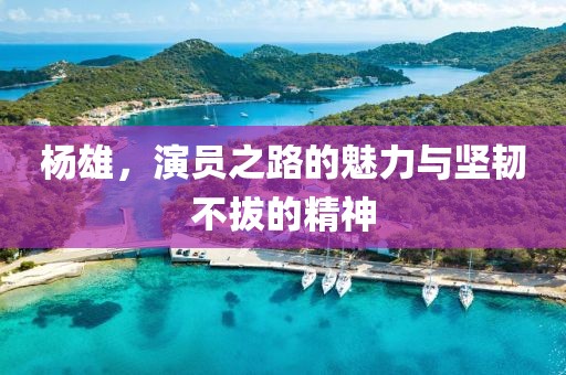 杨雄，演员之路的魅力与坚韧不拔的精神