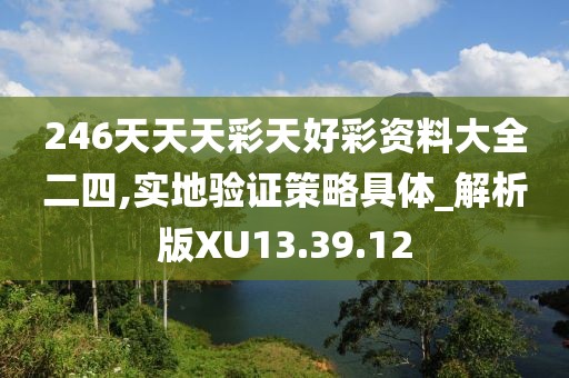 246天天天彩天好彩资料大全二四,实地验证策略具体_解析版XU13.39.12