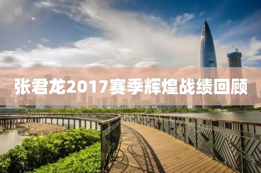 张君龙2017赛季辉煌战绩回顾