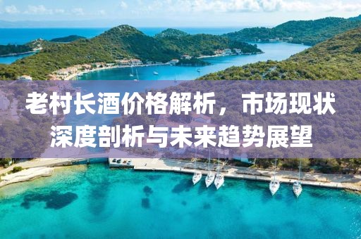 老村长酒价格解析，市场现状深度剖析与未来趋势展望