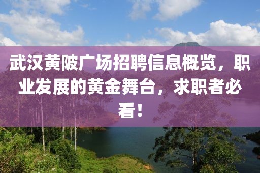 武汉黄陂广场招聘信息概览，职业发展的黄金舞台，求职者必看！