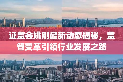 证监会姚刚最新动态揭秘，监管变革引领行业发展之路