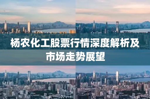 杨农化工股票行情深度解析及市场走势展望