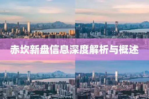赤坎新盘信息深度解析与概述