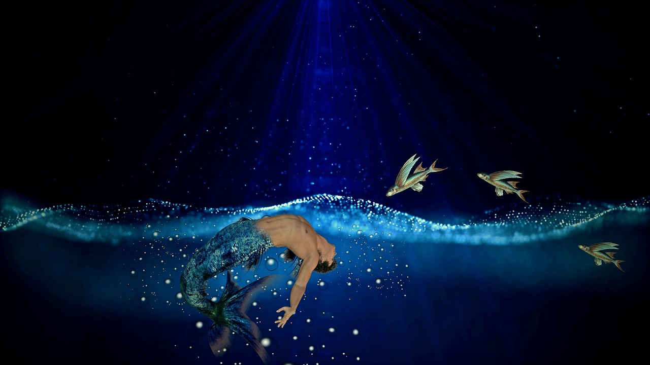减肥明星背后的闪耀故事与秘密