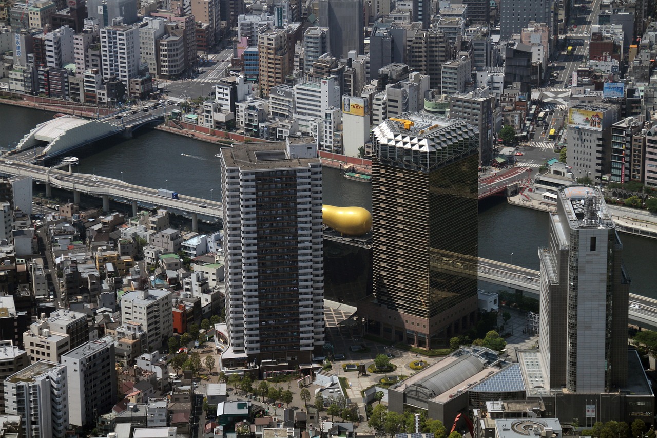 松江南新城规划更新，塑造未来城市新面貌新篇章启动