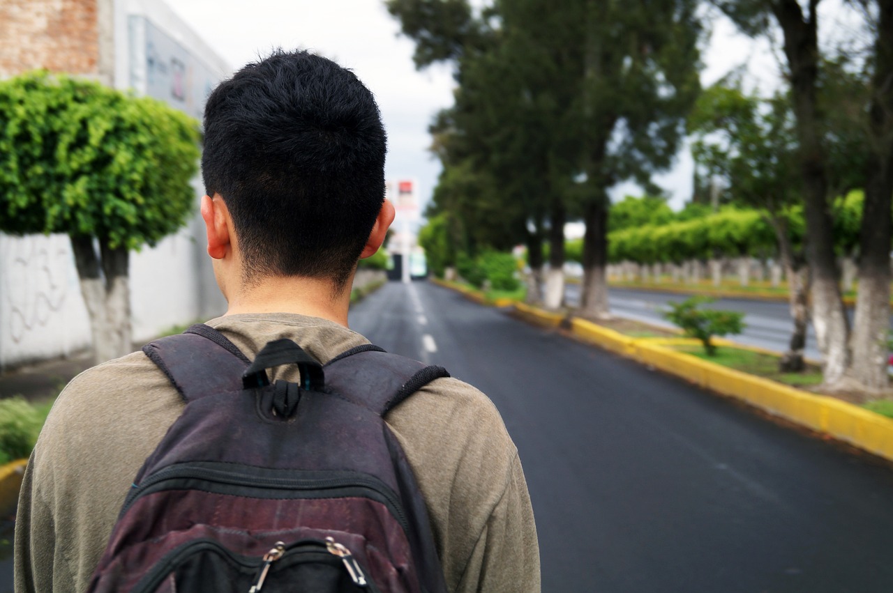 明星危情，电视剧中的生存与挑战之旅
