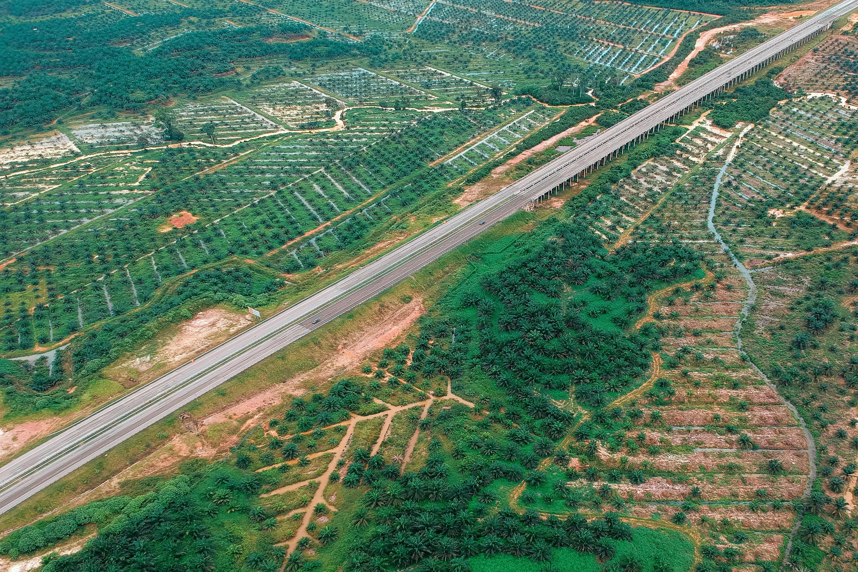 贵塘公路最新进展报告更新，建设进度一览无遗