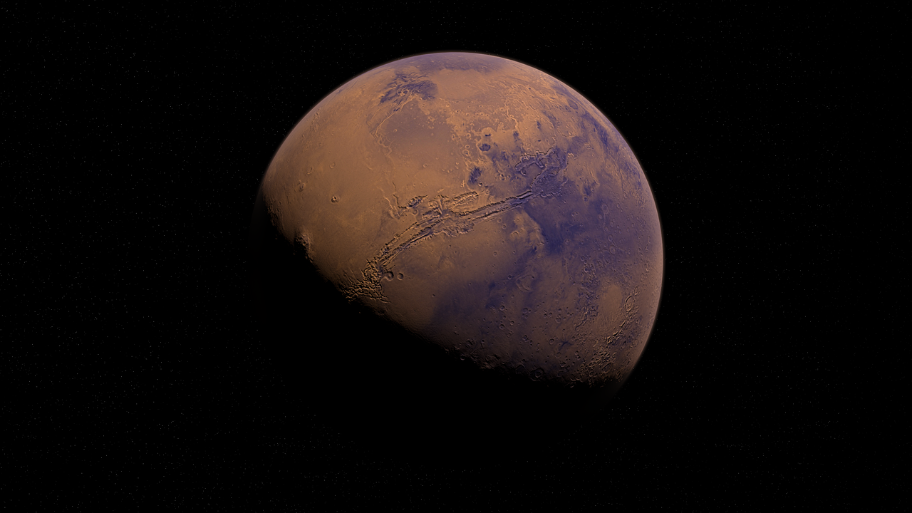 穿越成明星，虚幻与真实的奇妙旅程体验