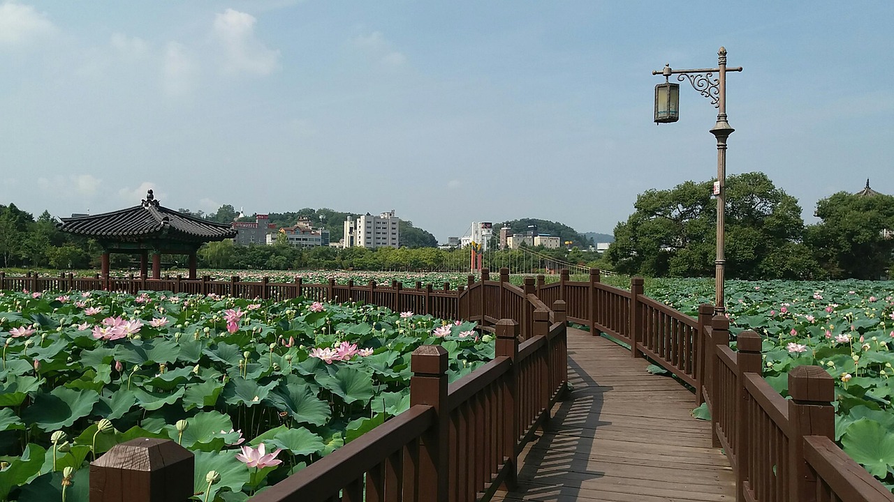 苏州环秀湖建设展现生态宜居城市崭新面貌