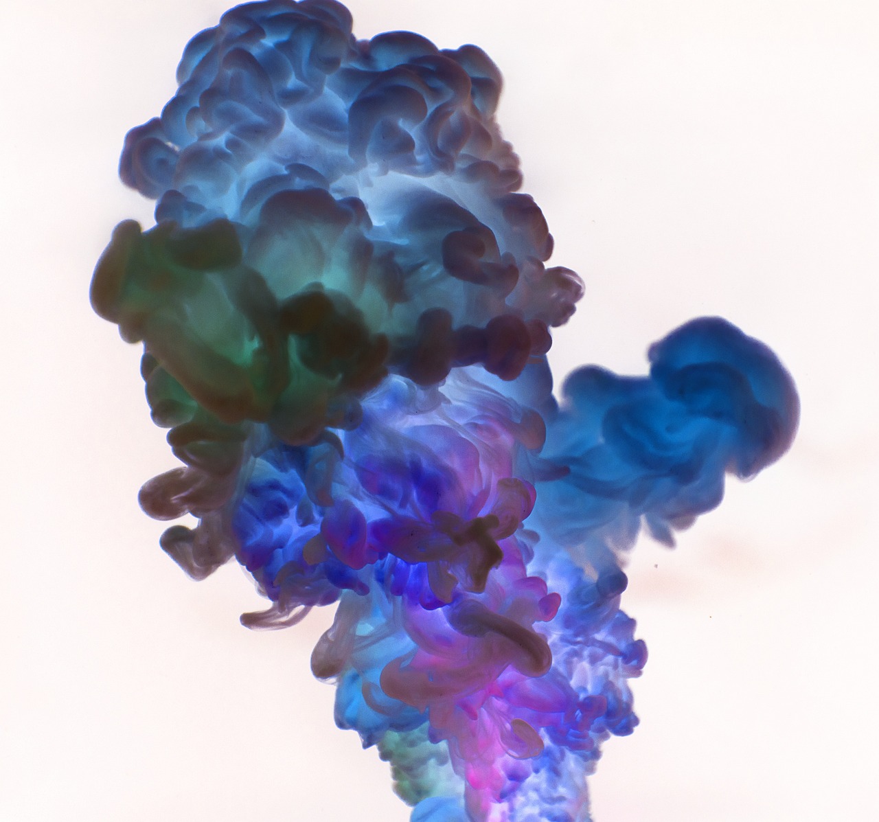 小花仙动漫图片，色彩与幻想的交织世界探索