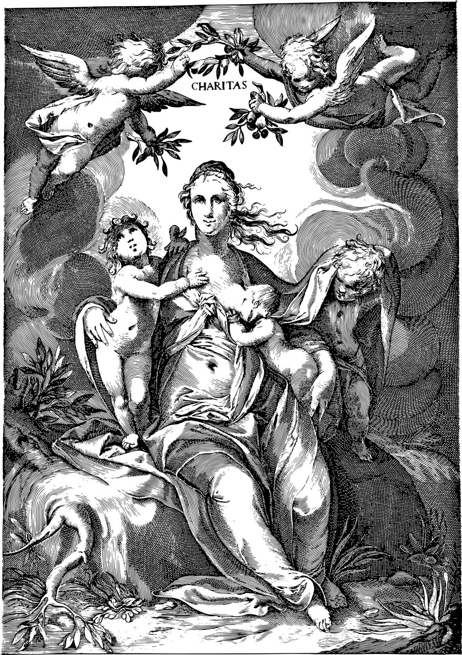 醉挽清风 第11页