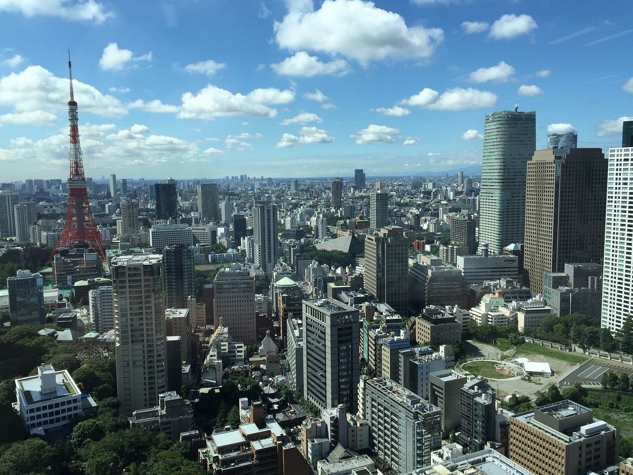 日本最新入境政策详解，探索与解析
